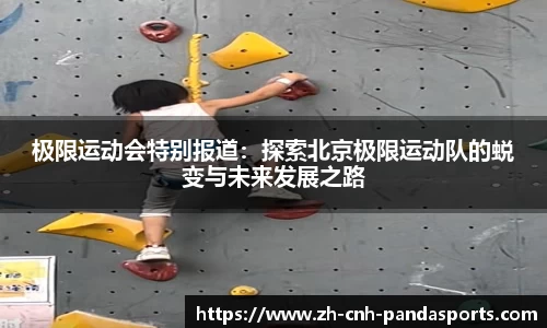 熊猫体育平台